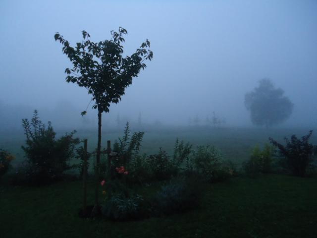 Hohe Luftfeuchte aber nur geringe Wassermenge bei niedrigen Temperaturen.